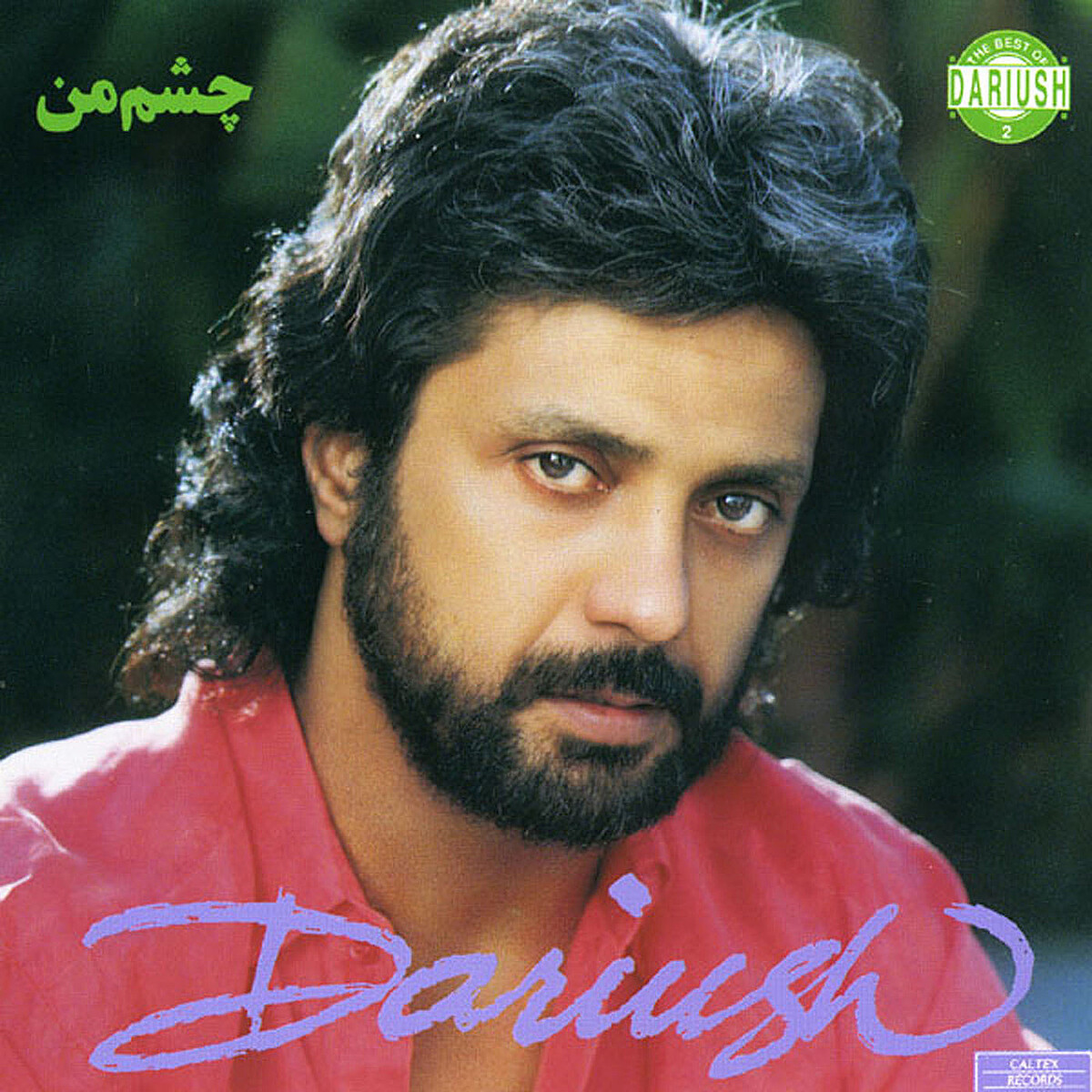 dariush
